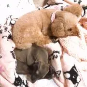 小梅と凜ちゃん♡♡
