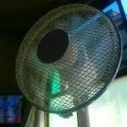あいの画像