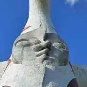 虎の画像