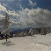 ⭐︎PANDA⭐︎プロフ必読