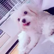 ちー