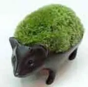 surugaoneの画像