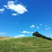 Cnoの画像