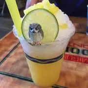 ももの画像