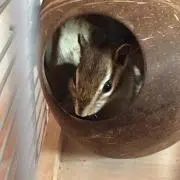 こす。プロフ必読の画像
