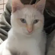 Yo,M