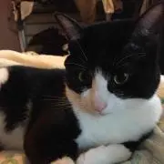 ひとみ(o^^o)