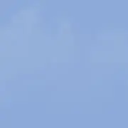 もこ