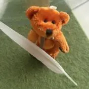 ＊chiifoopii＊の画像