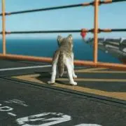 へちま