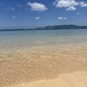 まろんの画像