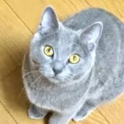 きーちゃん