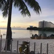 Mの画像