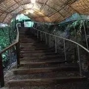 きょっけの画像