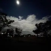 センザキ