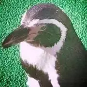 おわたい。プロフ必読