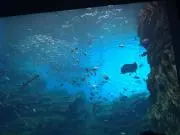 おでんの画像