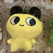 ハチワレの画像
