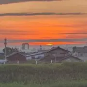 Momoの画像