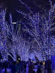 CHの画像