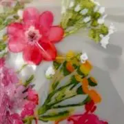 Happy S