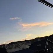 こかの画像