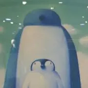 ペンギンの画像