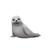 アザラシの画像