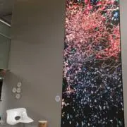 ココナッツの画像