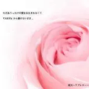 にーこ＊*