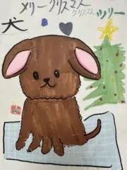 sho ppiの画像