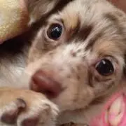 maru.mama