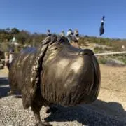 Sの画像