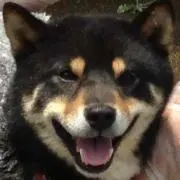 そらしま