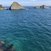 nyaonの画像