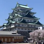 すみっこ