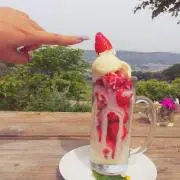 Y'sの画像