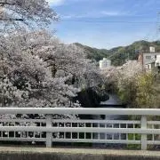 木村の画像