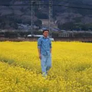 進