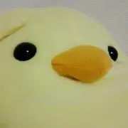 すいこうさいばいの画像