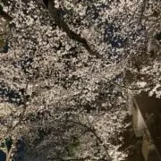 引越しのため売り切り希望。の画像