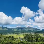 Y T aの画像