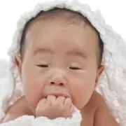 ハルト