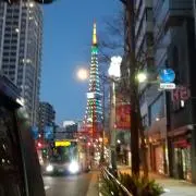 バーディの画像