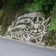 aki