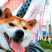 *°YUKISUKE*°の画像
