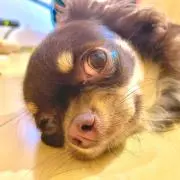 tetsukin_okinawaの画像