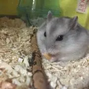 とも