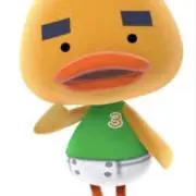 さつきの画像