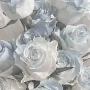ここみの画像
